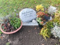 ein Bild aus dem Album